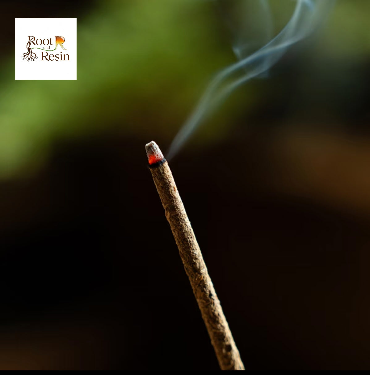 "Soulwood Sanctuary"- Botanical Hand-Rolled Incense